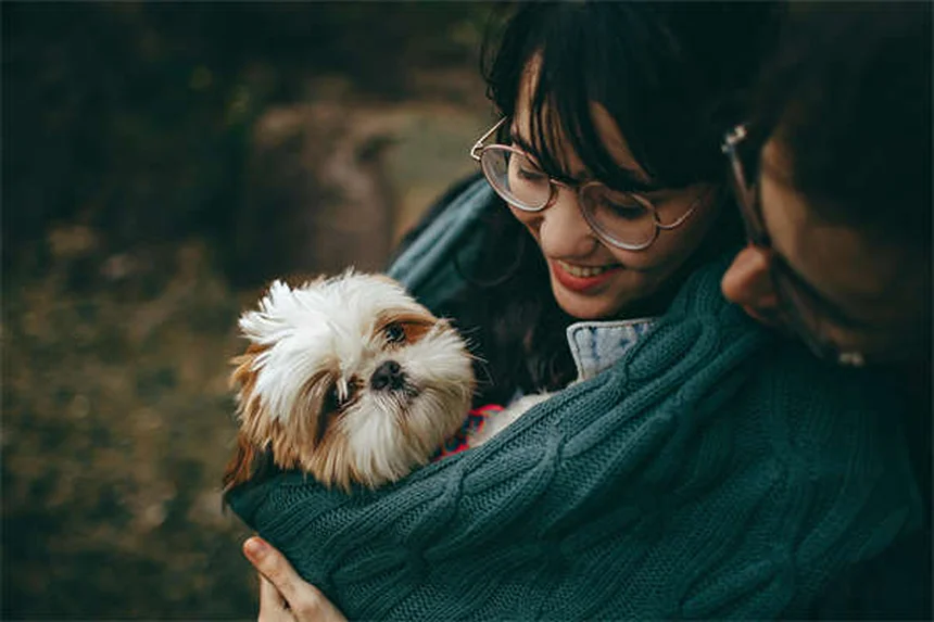 犬が自発的にいうことを聞く！プレマックの原理で簡単トレーニング